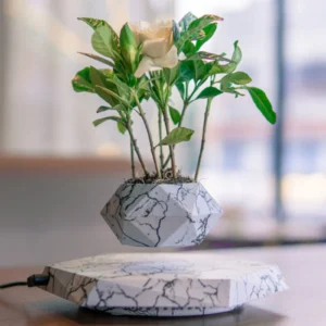 Levitatinng Plant Pot Marble